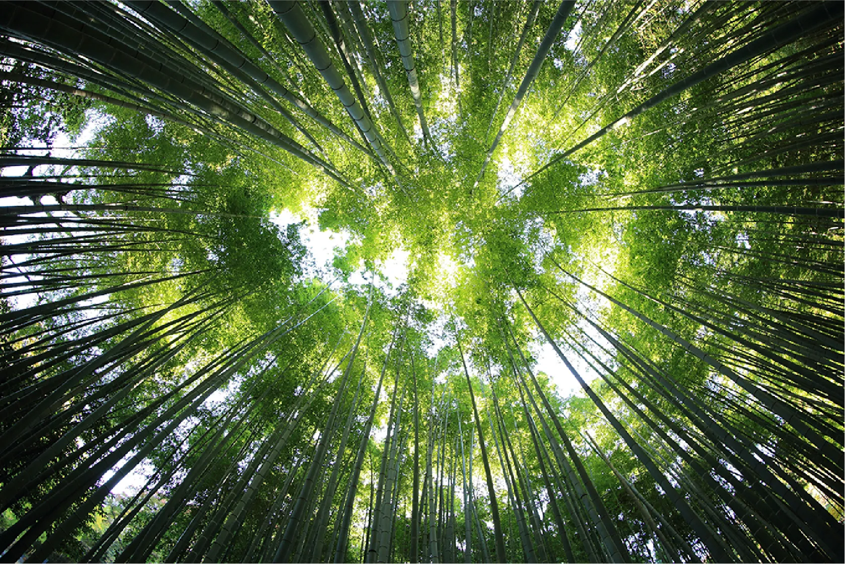 環境・自然共生の取り組み1