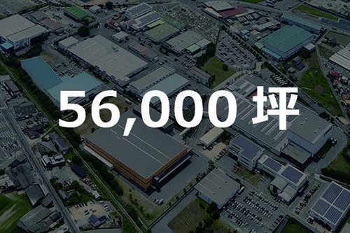 56,000坪